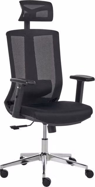 Sedia da ufficio ergonomica BELIANI in tessuto e rete nera con schienale regolabile, poggiatesta e braccioli, design moderno per home office