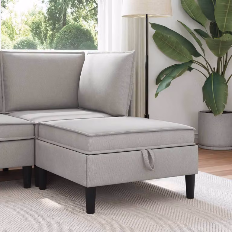 vidaXL Pouf con Storage in Velluto Grigio Chiaro per Soggiorno L: 70 cm, P: 40 cm, H: 40 cm