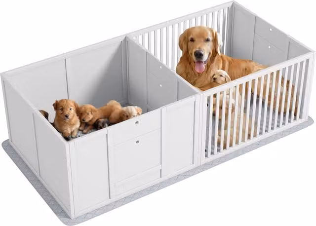Cuccia per cani PawHut in legno con materassino, colore bianco, L 166 cm x P 80 cm x H 50 cm